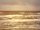 ALLUVIONE MIA